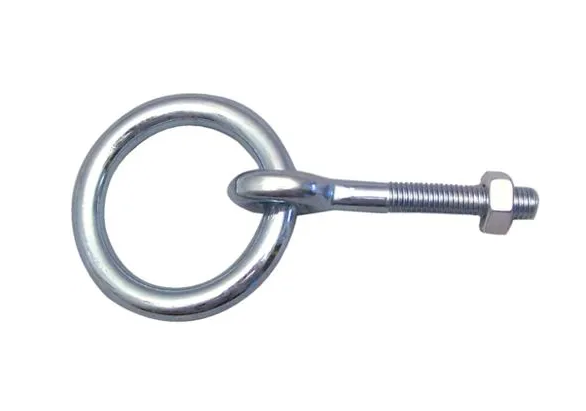 Viso - Stallring mit Mutter aus verzinktem Stahl Schaft 100 mm Draht Ø10 - AEE10E