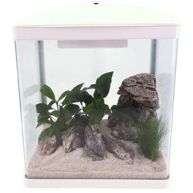 Aquaristikwelt24 - HR-300 Weiß Nano Aquarium – Komplettaquarium mit led