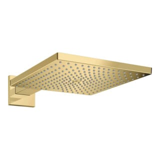 Hansgrohe - Raindance e - Kopfbrause e 300 mit Duscharm, Gold poliert 26238990