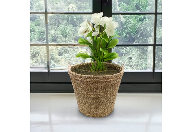 Spetebo - Seegras Pflanzkorb natur mit Henkel - 27 x 24 cm - Pflanztopf mit Folie ausgekleidet - Deko Blumenkorb Blumentopf Rattan Flechtkorb für