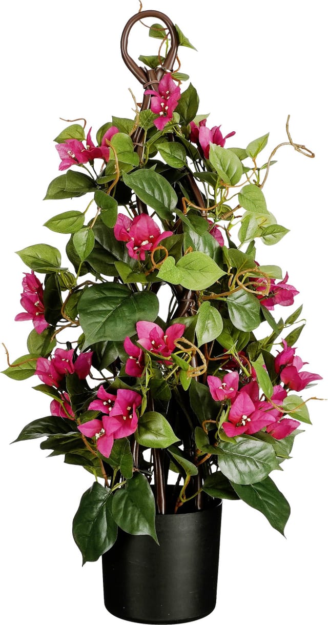 Mica Decorations - Bougainvillea im Topf ø 30 x 60 cm fuchsia Zimmerpflanzen