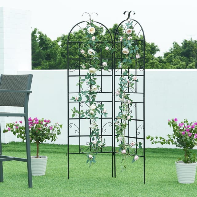 Casa.pro - Rankgitter Barrea 2er Set 180x50 cm [ ]