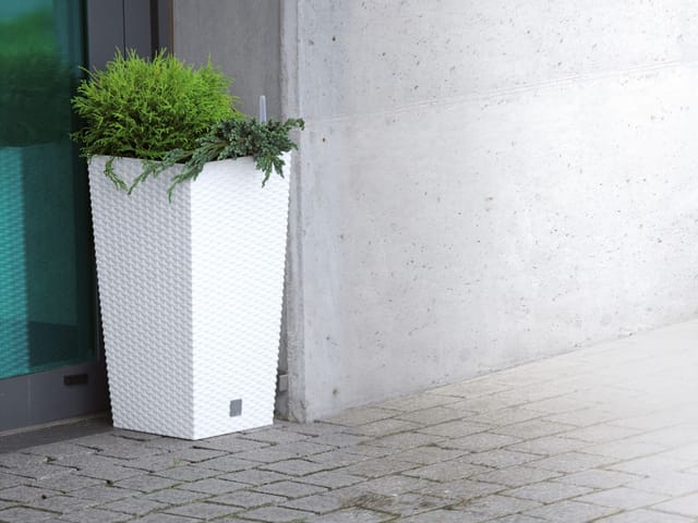 Rato DRTS225 Hoher Blumentopf mit Einsatz Weiß