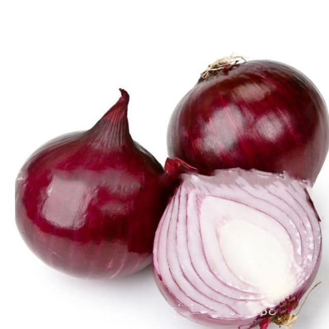 Selbstgezogenes Gemüsesaatgut, Rote Zwiebeln für den Garten, Saatgut für das Gewächshaus im Hinterhof