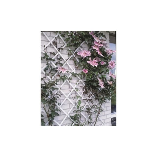 Garten-Rankgitter 100x200 cm PVC Grün 6040704 Nature