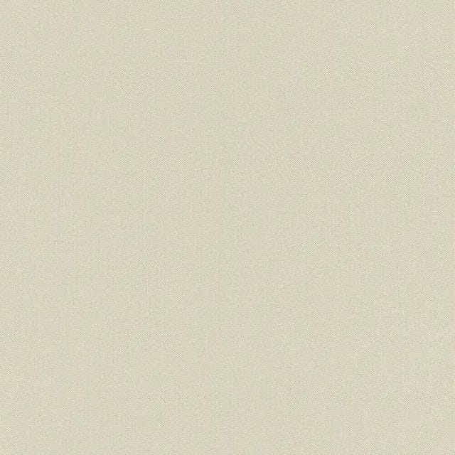 Rasch - Vliestapete 423914 Tapete Uni Einfarbig 53 x 1005 cm Unsere Besten 2022 Beige