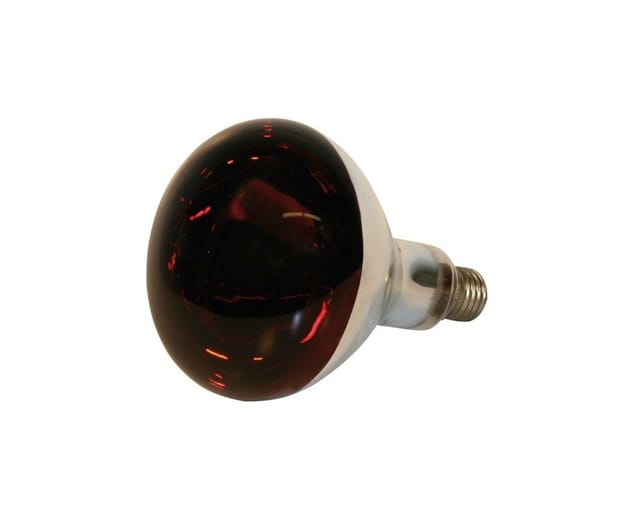 Infrarotlampe aus Hartglas 150 w rot
