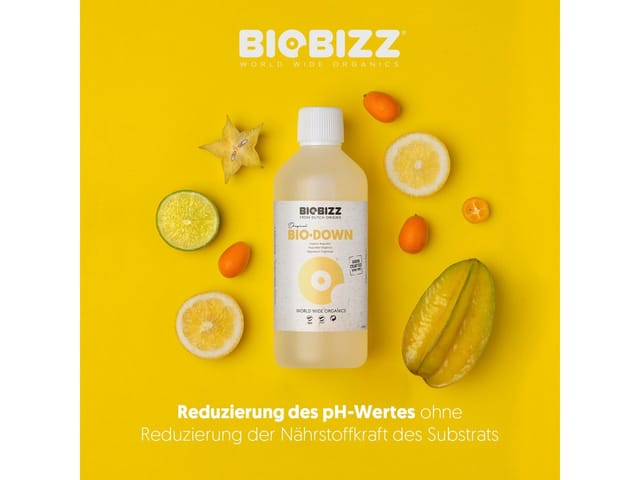 Grow Bio-Down pH-Regulator 250 ml Dünger - Biobizz
