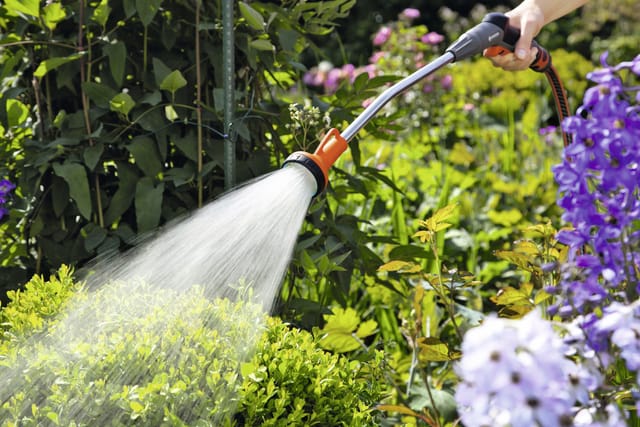 Gießstab Classic 60 cm Brause Gartenbrause Bewässerungsstab - Gardena