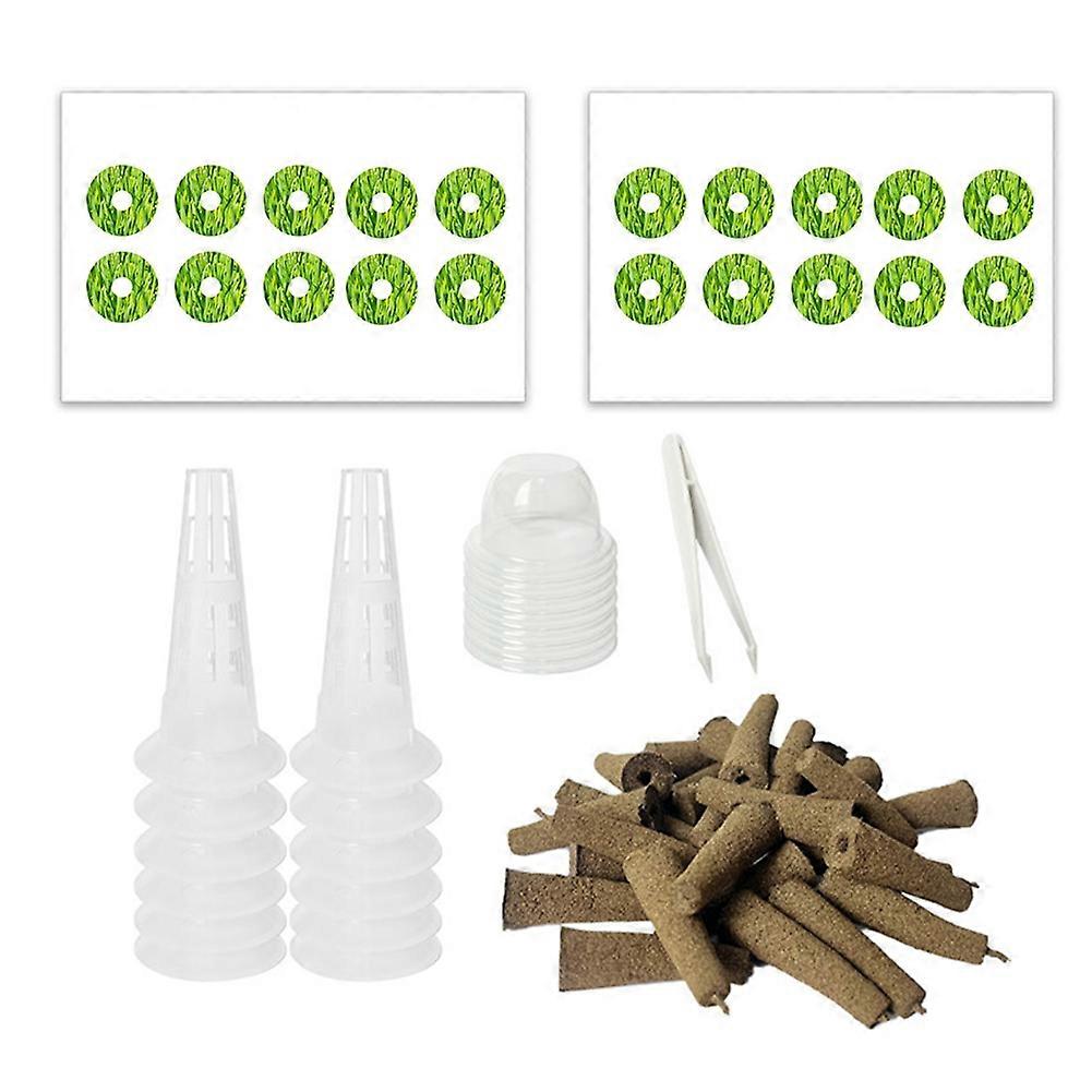 Set Mit 12 Saatkapseln Für Den Gartenbau, Zubehör Für Hydrokultursysteme Zum Anziehen Und Keimen Von Pflanzen