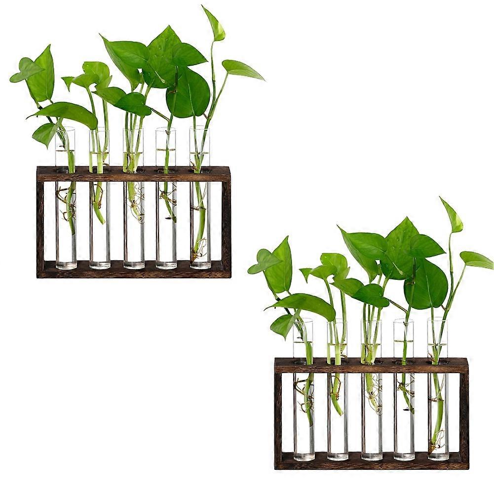 Glaswand-terrarium Mit Holzständer, Bestehend Aus 5 Röhren, Zur Anzucht Von Hydrokulturpflanzen. Tisch- Oder Balkonkasten.