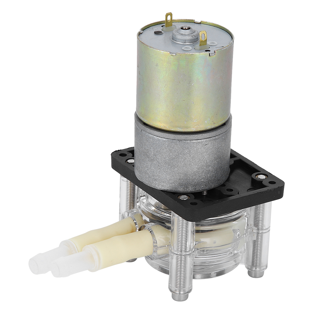 Peristaltikpumpe, Selbstansaugend, Edelstahl-radrahmen, Transparenter Pc-kopf, Gleichstrommotor (24 V)
