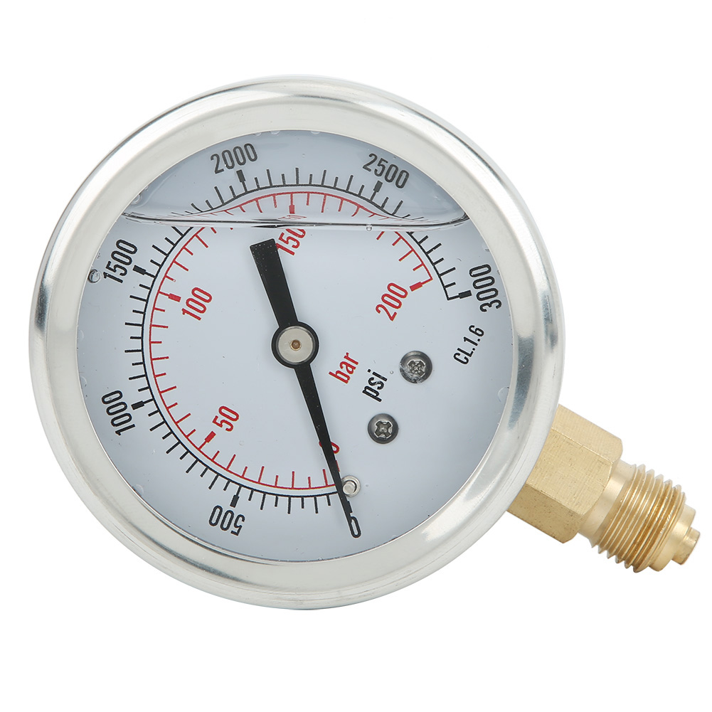 Ts Pgg604-200bar 1/4bsp Y60 Radial-manometer Für Die Druckmessung Im Haushalt