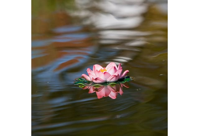 Künstliche Seerose rosa ø 18 cm Blütenkopf - Heissner