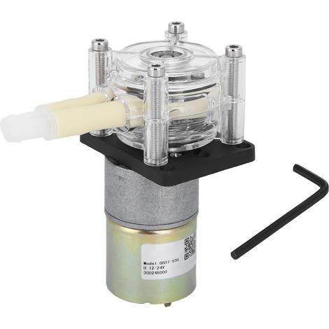 Peristaltikpumpe, Selbstansaugender Edelstahl-radrahmen, Transparenter Pc-kopf, Gleichstrommotor (24 V)
