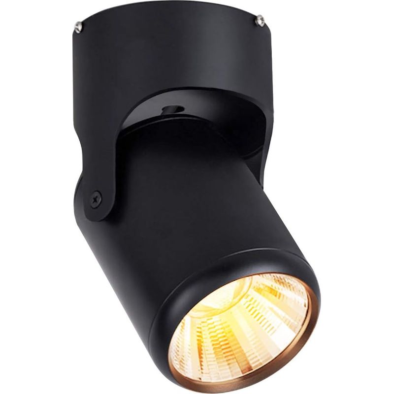 12w Blanc Plafonnier 1 Spots Led Spots De Plafond Orientable Barre De Spots Moderne Pivotant Pour Interieur Bureau Salon Cuisine Salle (noir, Blanc Chaud) [classe Énergétique A+]