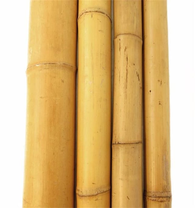 Bambusrohr 180 cm ø 4/5 cm Rankhilfen