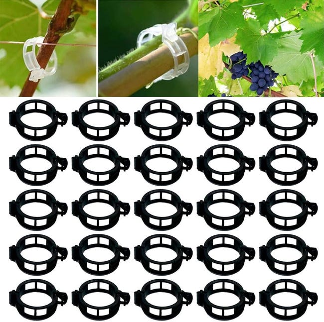 Pflanzenstützen, Tomatenstützen, Gemüsestützen, 100 Schwarze