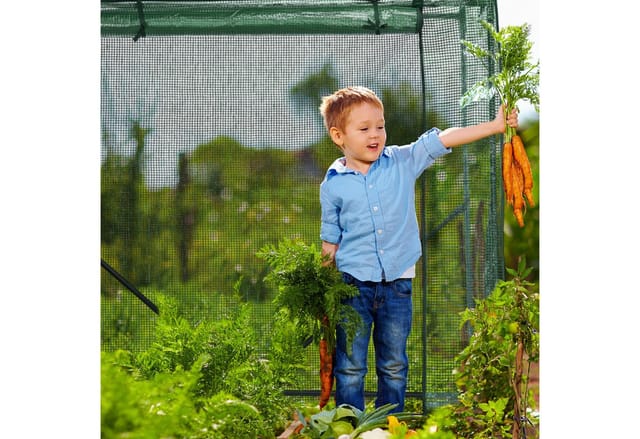 Relaxdays - Tomaten Gewächshaus, hbt: 154 x 152 x 50 cm, Eisen & PE-Gitterfolie, stabiles Foliengewächshaus Garten, grün