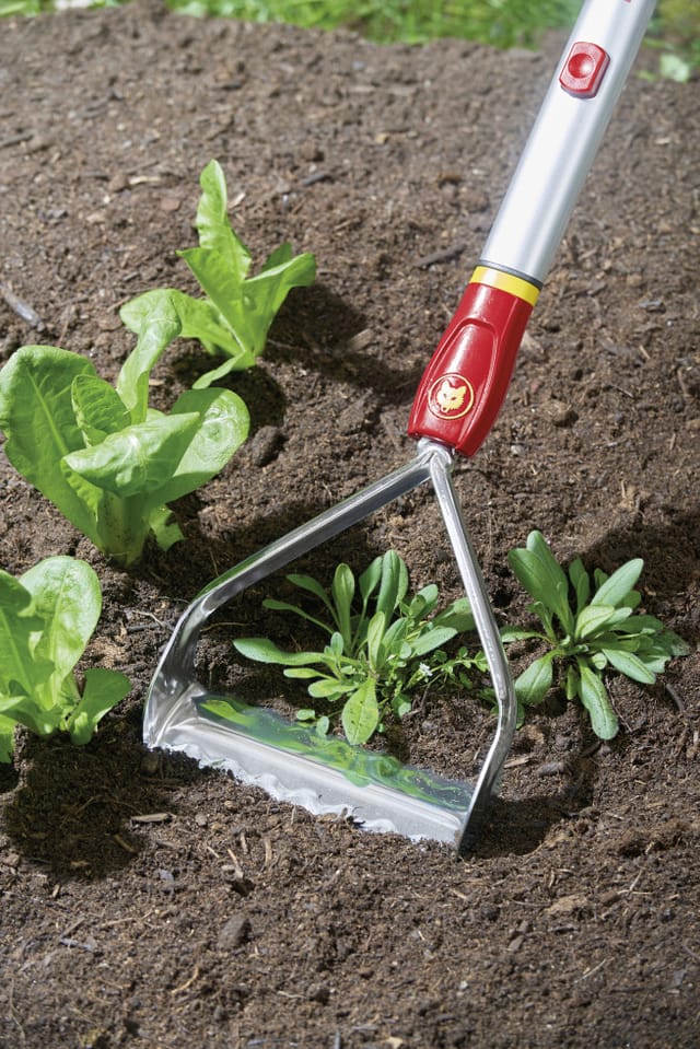 Wolf-garten - Unkrautkuli 71AAA015650 rf-m 15 cm Wolf Combisystem Multi-Star