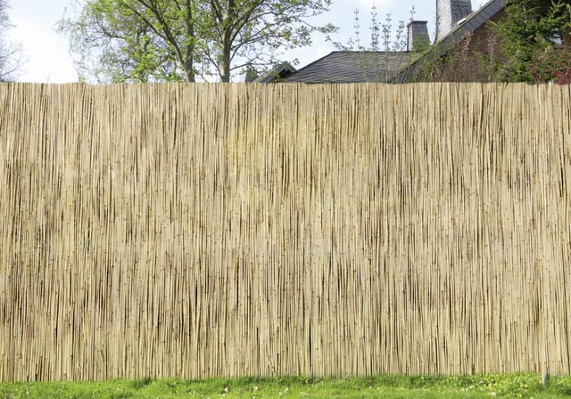Weitere - Schilfrohrmatte 6 x 1,2 m Sichtschutz