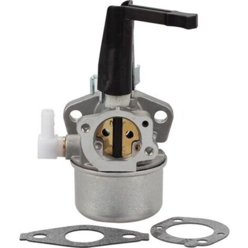 Briggs & Stratton Vergaser, Kompatibel Mit 696065 Und 697422, Ersatzteil 110412-0211-e1 Für Verbrennungsmotoren In Rasenmähern Und Generatoren
