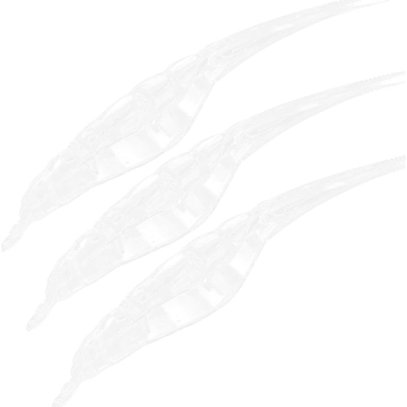 Set Mit 3 Plastikstäbchen Für Garnelen Und Flusskrebse
