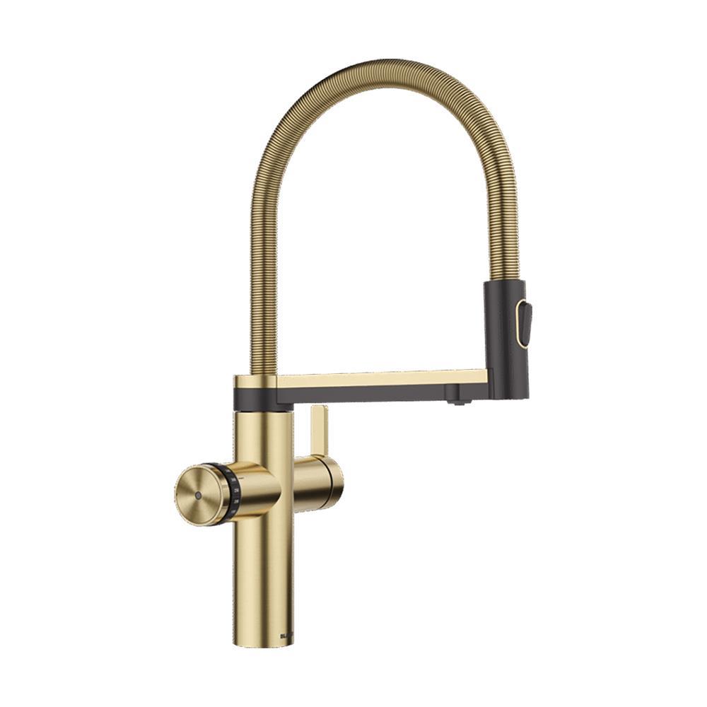 Blanco Küchenarmatur Choice Icona Pvd Satin Gold