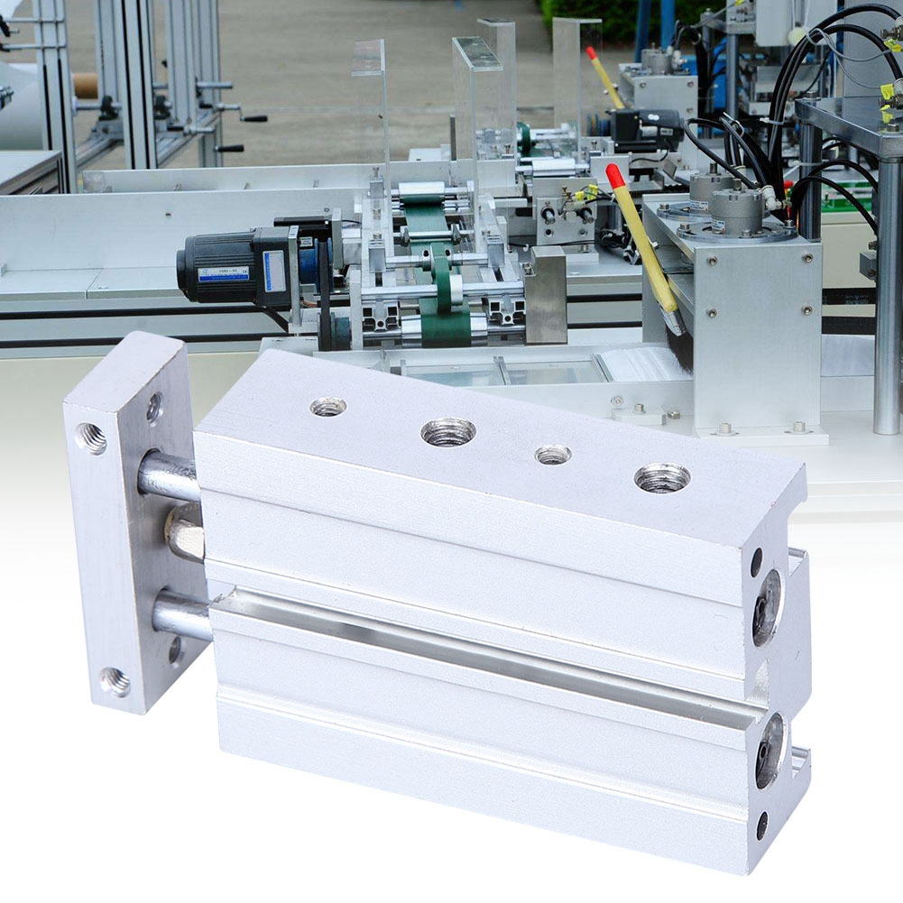 Luftzylinder Doppelwelle Doppelstange Hochpräzisions-pneumatikkomponente Cxsm6 X 10