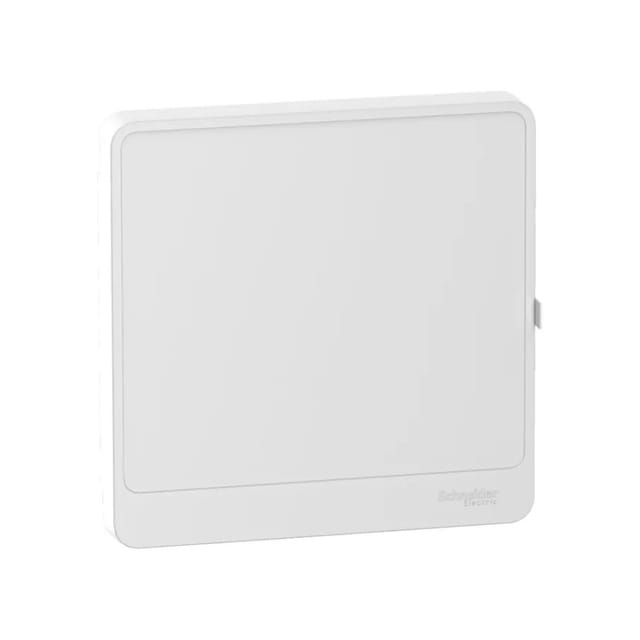 Schneider Electric R9H13421 Weiße Tür 247,5 mm