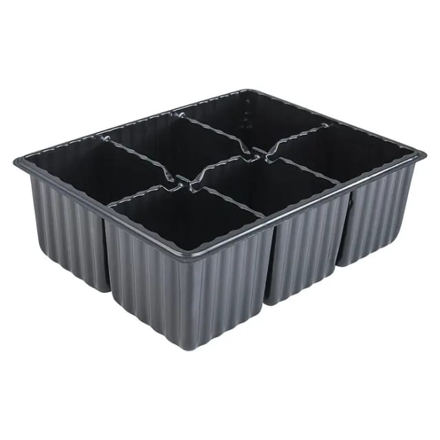 Saatplatte 4 x 6 Zellen