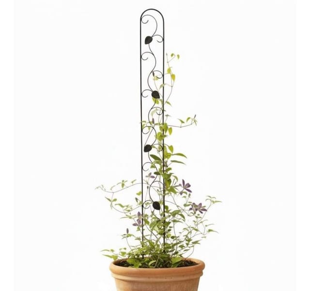 Dandibo - Rankhilfe Metall Rankgitter 140 cm Schwarz Rankstab Kletterhilfe Bodenstecker 96249 Blumenhalter Ranksäule