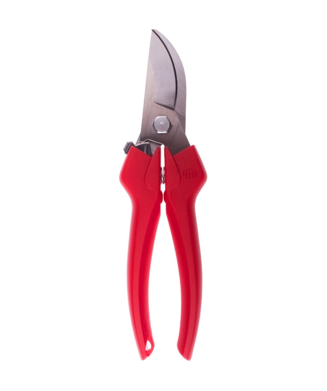 Leseschere 300 - Felco
