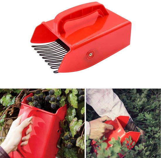 Beerenpflücker Mit Metallkamm Und -griff, Für Blaubeeren Und Heidelbeeren - Rot
