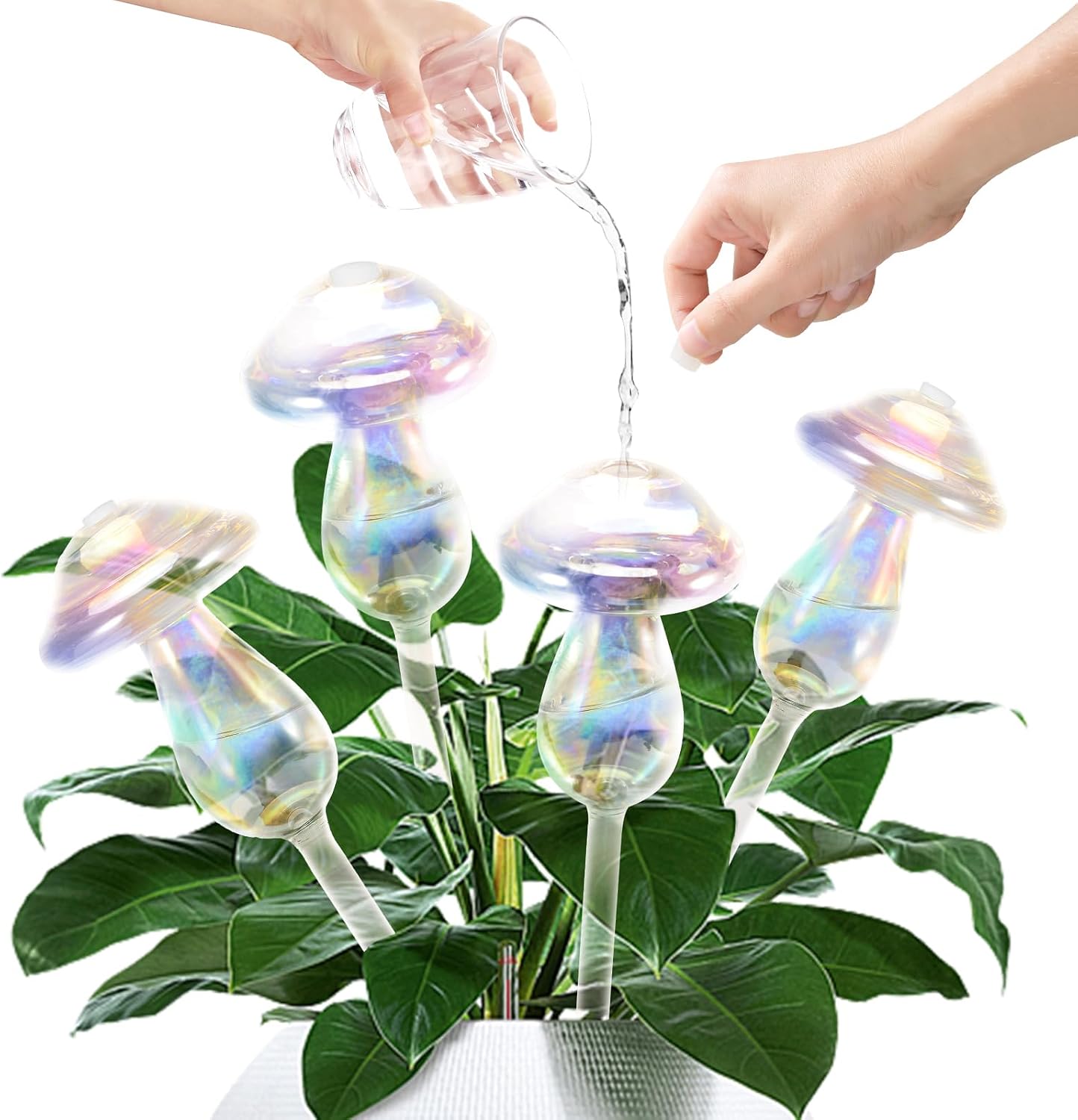 Bewässerungskugeln Für Pflanzen – 4 Stück – Selbstbewässernde Einsätze – Pflanzgefäße – Bewässerungsvorrichtungen – Bewässerungskugeln Aus Glas – Zimmerpflanzen – 4 Stück