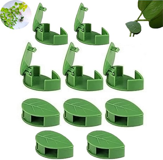 10er-pack Kletterclips Für Pflanzen, Efeututenstützen, Selbstklebende Haken, Dekorativ Für Gartenpflanzen
