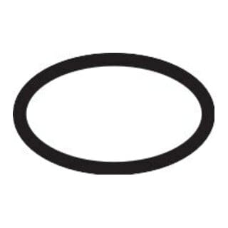 hansgrohe O-Ring 21x2mm EPDM 70 InfrarotHD