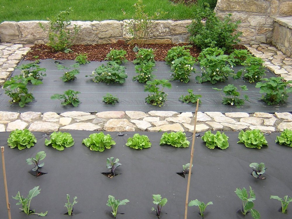 Haga - Gartenvlies (Meterware) Unkrautvlies für Gemüsebeet 50g/m² in 0,8m x 1m