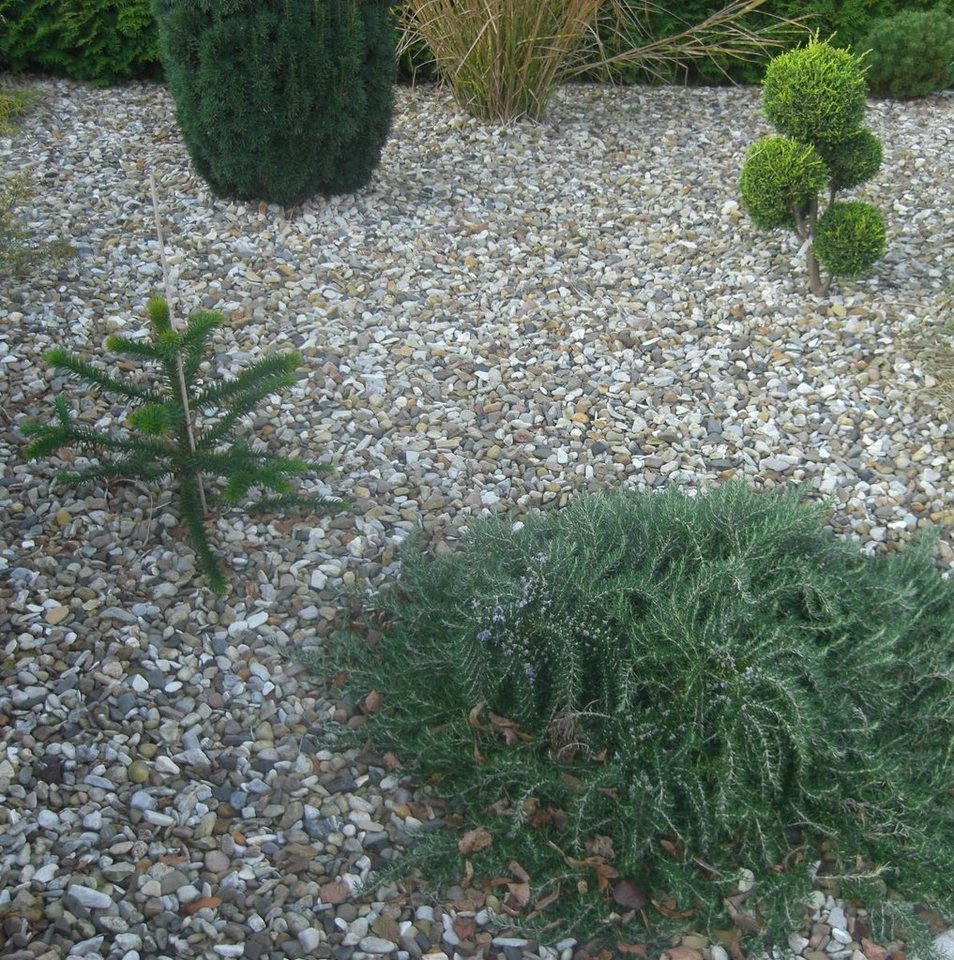 Haga - Gartenvlies (Meterware) Unkrautvlies für Gemüsebeet 50g/m² in 0,8m x 1m Bild 3