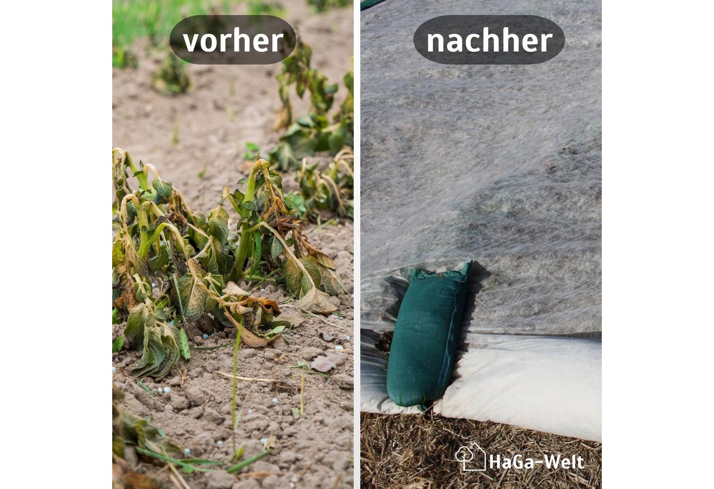 Haga - abdeckvlies 19g/m² 1,6m Br. (Meterware) Ernte-Verfrühungsvlies Ernteschutz Vlies Bild 2