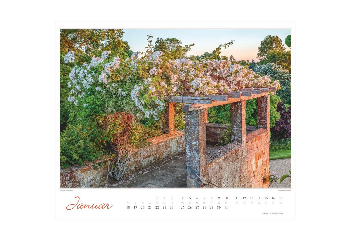 Wandkalender Im Rosengarten 2027