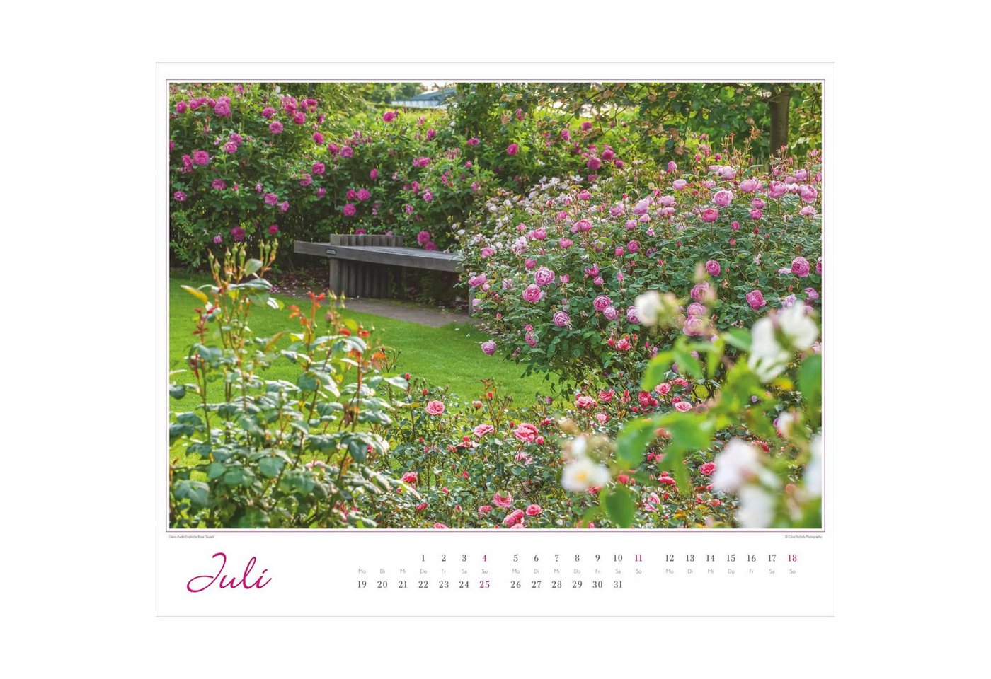 Wandkalender Im Rosengarten 2027 Bild 3