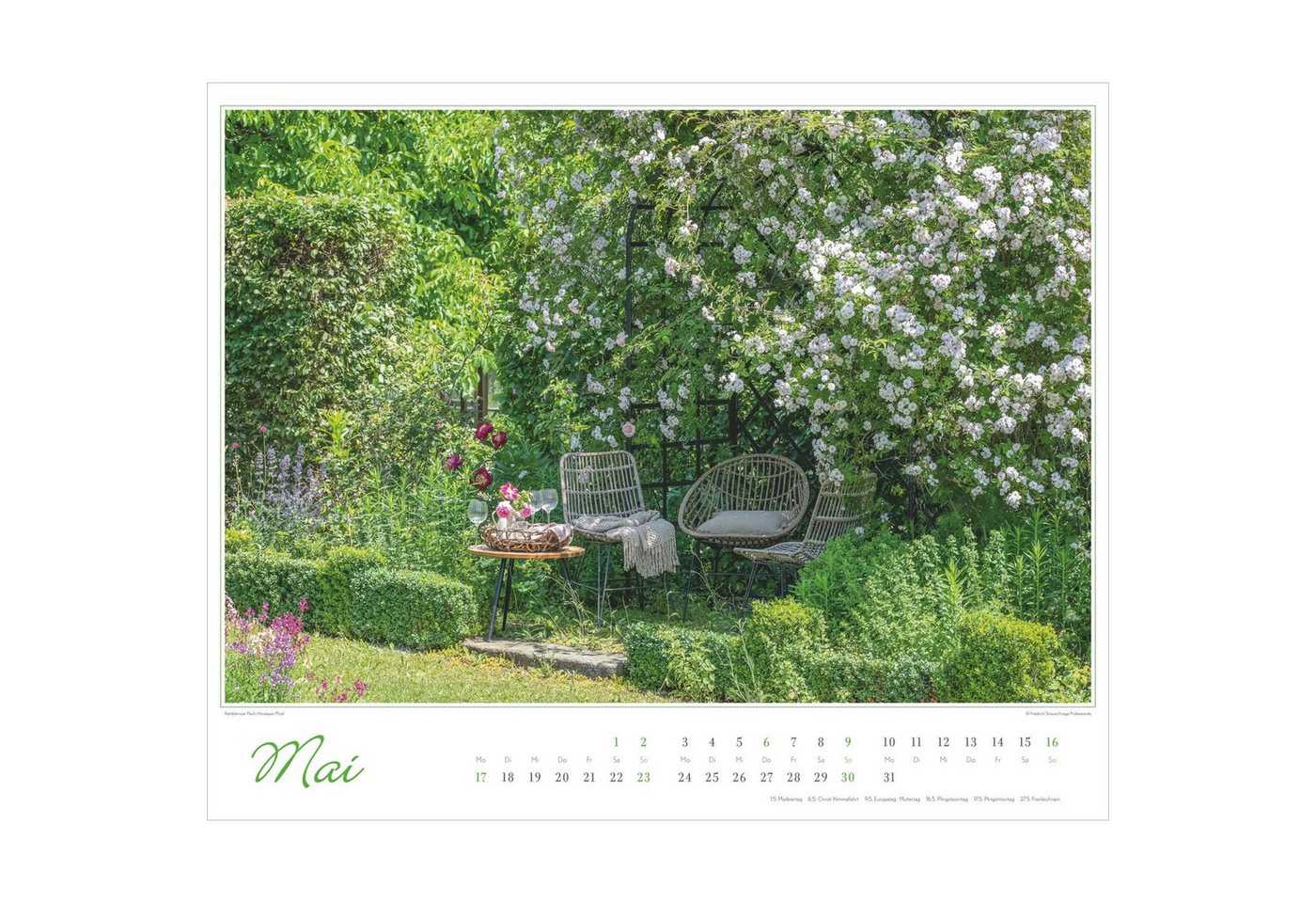Wandkalender Im Rosengarten 2027 Bild 4