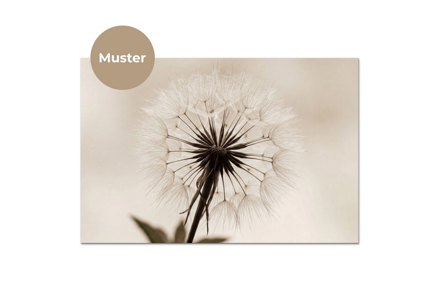 KitchenYeah Küchenrückwand Muster selbstklebend (keine Folie) Pusteblume - Minimalistisch - Weiß, (1-tlg), Spritzschutz, Küche, Rückwand, Küchenwand, Küchenfront, 30x20 cm Bild 4