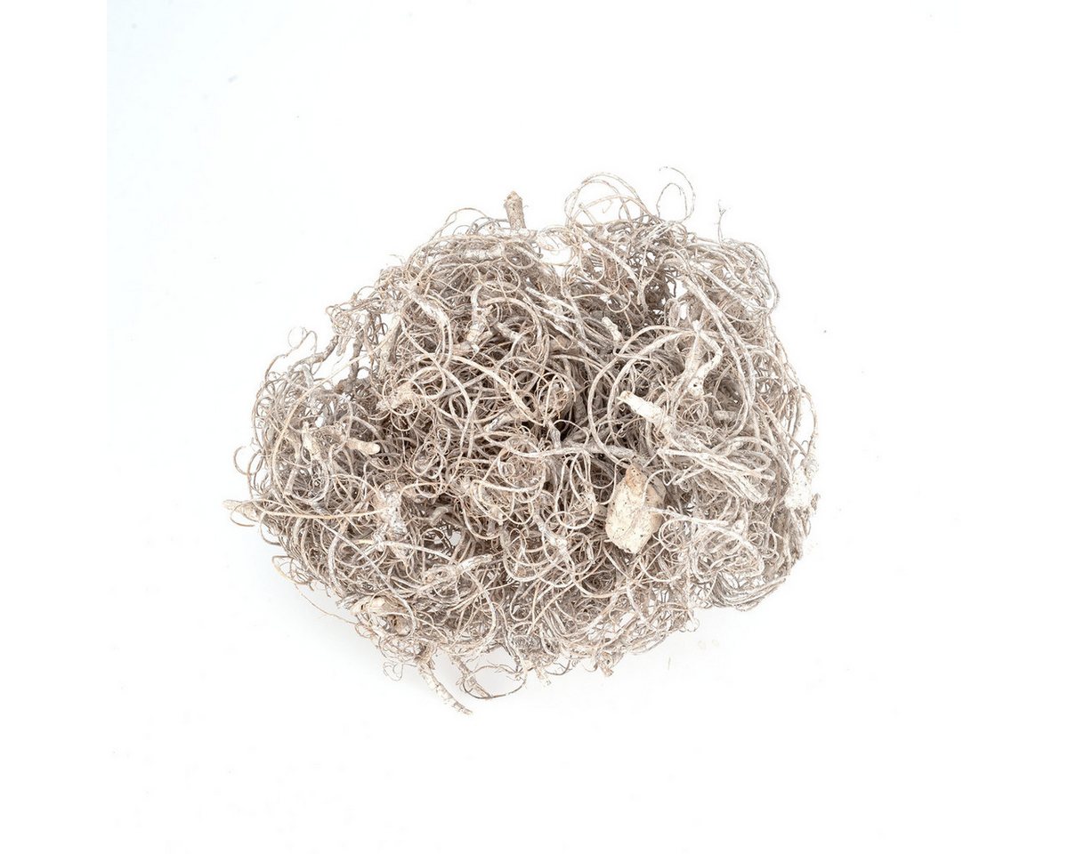 NaDeco Bastelnaturmaterial Curly Moos in Weiß gefärbt, (gefrostet (White Wash) Gewicht ca. 50g Bild 5