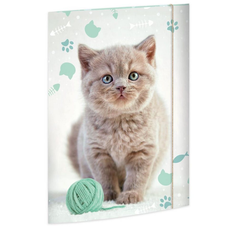 RNK Verlag Organisationsmappe Zeichenmappe Kitty DIN A3, Karton mit Gummizugverschluss Sammelmappe Bild 3