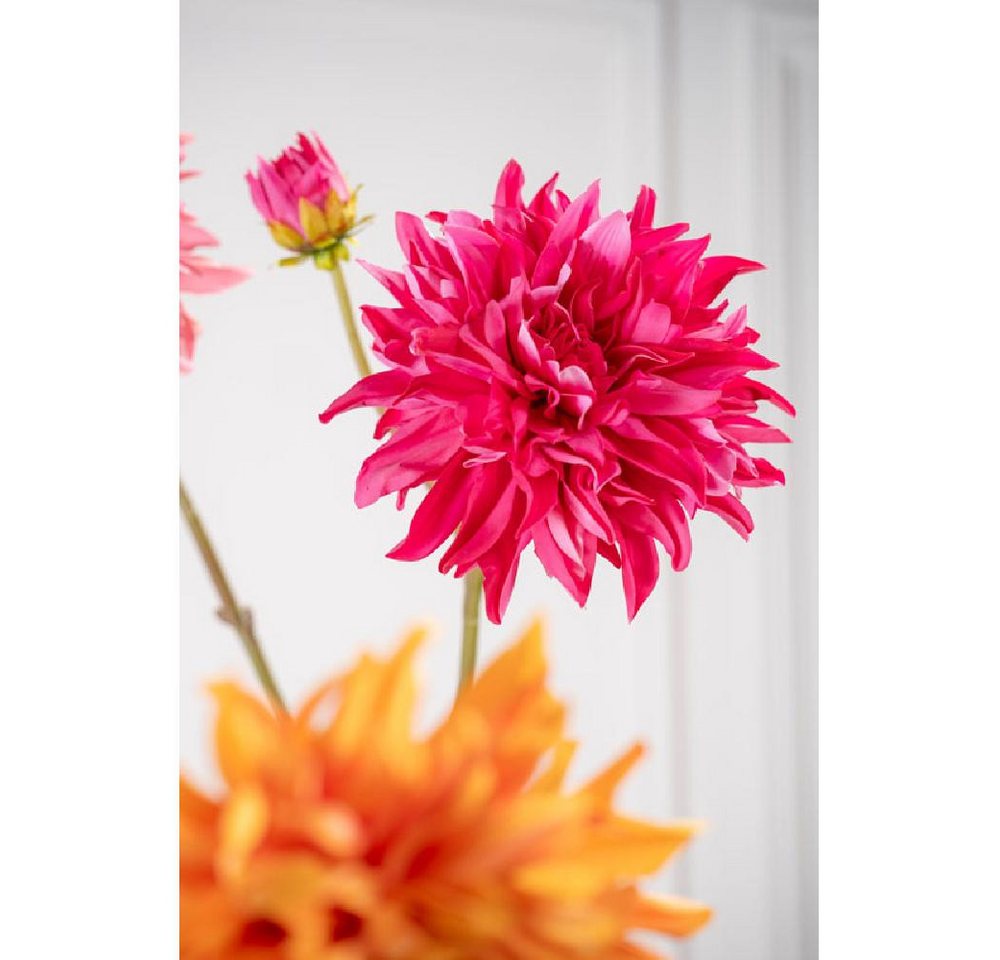 Künstliche Zimmerpflanze Seidenblume Dahlie Fuchsia (81cm), SILK-KA