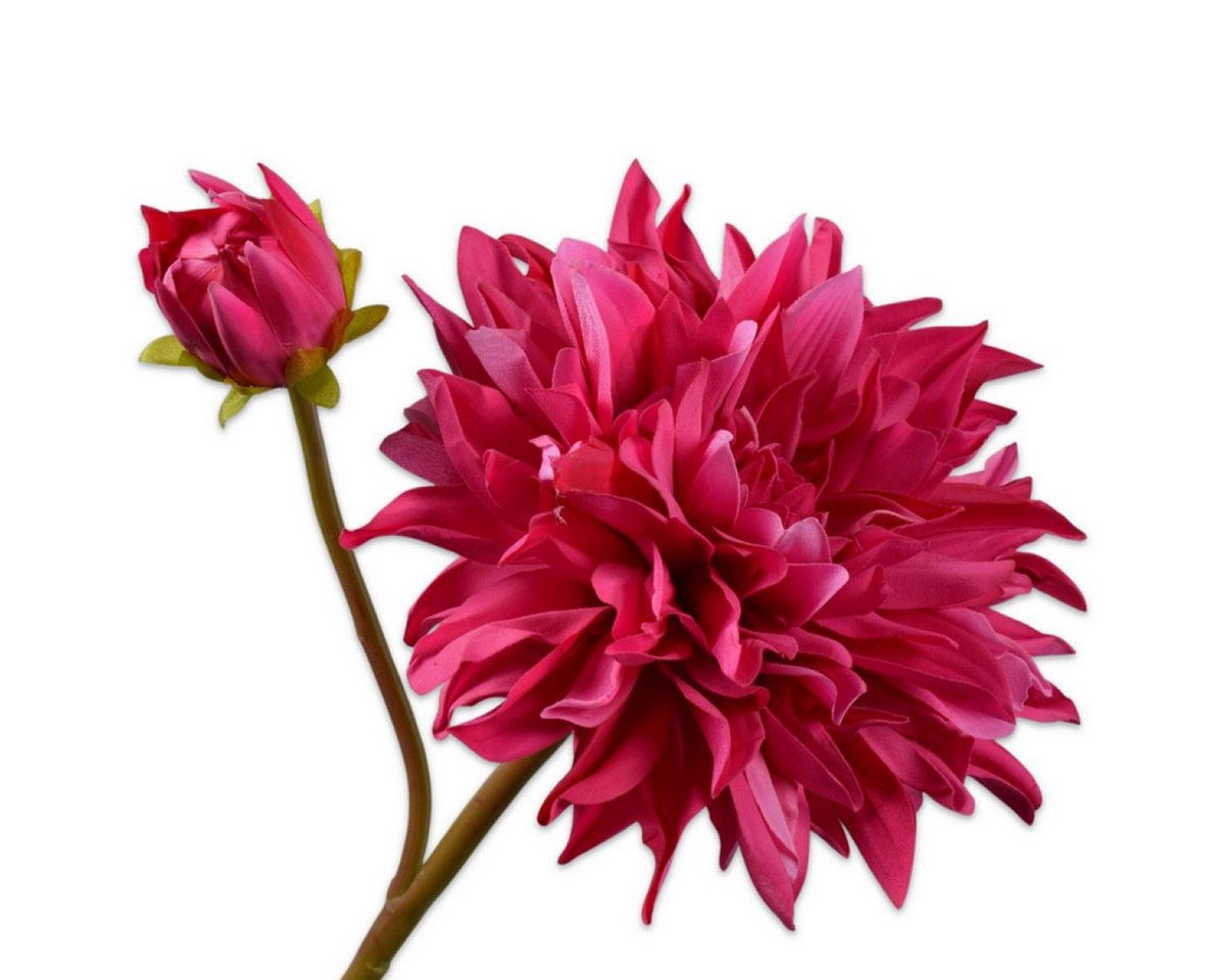Künstliche Zimmerpflanze Seidenblume Dahlie Fuchsia (81cm), SILK-KA Bild 2