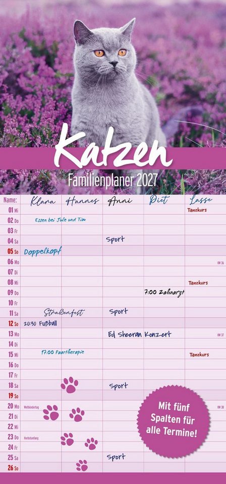 Familienkalender Katzen Familienplaner 2027