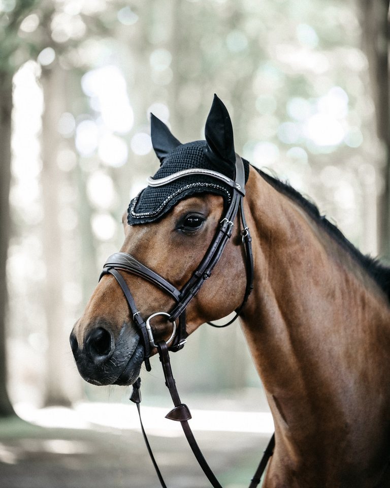 Kentucky Horsewear Fliegenohren Fliegenohren Wellington Stone & Pearl Bild 2